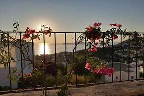 BO136 by Villaofsummer