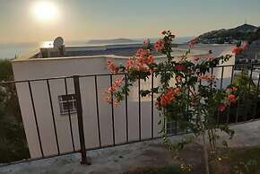 BO136 by Villaofsummer