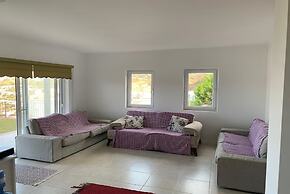 BO136 by Villaofsummer