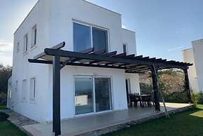 BO136 by Villaofsummer