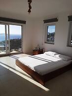 BO136 by Villaofsummer