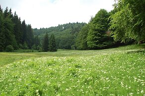 Ferienwohnung Reifberg