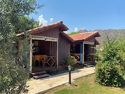 Plaj Hotel
