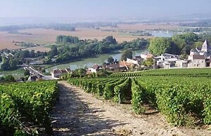 Le Clos Corbier