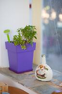 Megris Country Houses