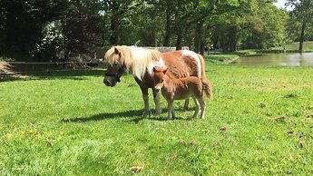 Logis de la Clartière