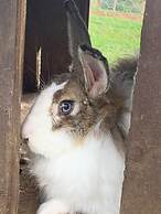 Boqueirão Hotel Fazenda