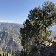 Hotel Boutique Calderon