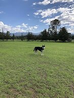 Hotel Boutique Calderon