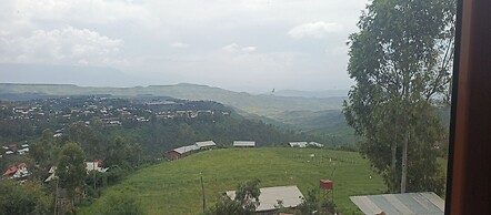 Honey Land Hotel