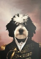 The Governor's Mansion