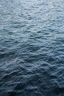 The Pier apartment by Daniel&Jacob’s