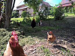 Pension Atelier Reinhart