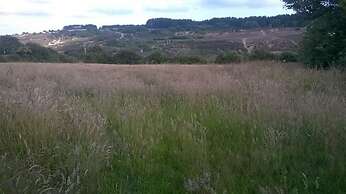 Lovely 3-bed Annex Located on a Working Farm