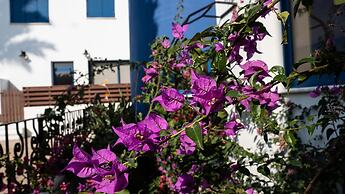 Villa Near the Beach