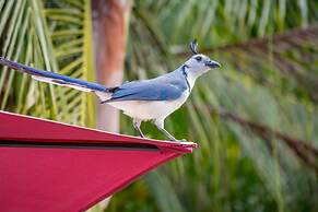 Hermosa Heights Villa 24