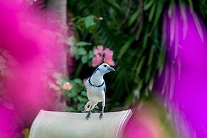 Hermosa Heights Villa 24