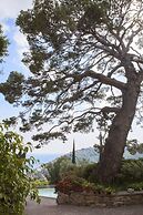 Agriturismo Uliveto Saglietto