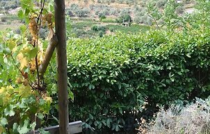 Agriturismo Uliveto Saglietto