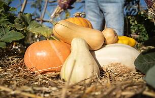Le Jardin des 4 Saisons