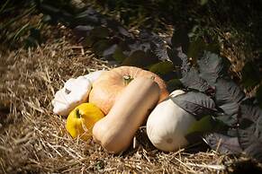 Le Jardin des 4 Saisons