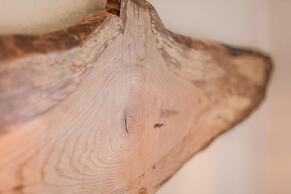 Wohnen im Herzen der Altstadt