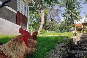 Sejour Farm Casa Mountain Sanctuary