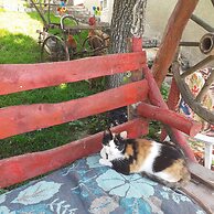 Sejour Farm Casa Mountain Sanctuary