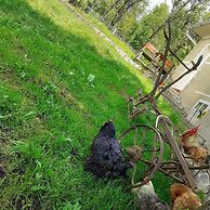Sejour Farm Casa Mountain Sanctuary