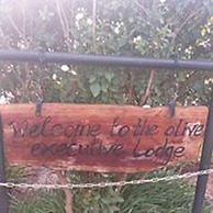 The Olive Lodge