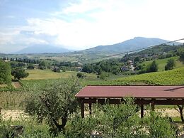 Agriturismo Terre Vineate