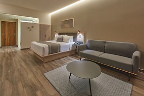 City Express Plus by Marriott San Luis Potosí