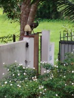 Field island villa Ahangama