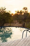 Simbavati Trails Camp