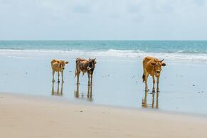 Tamba Kuruba Eco lodge