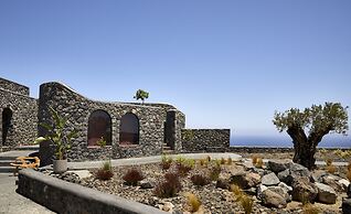 White Pearl Cavalieri - Adults Only