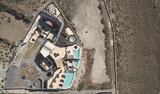 White Pearl Cavalieri - Adults Only