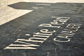 White Pearl Cavalieri - Adults Only