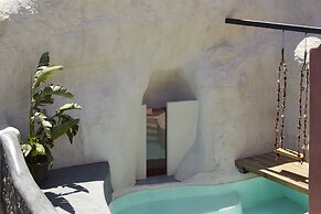 White Pearl Cavalieri - Adults Only