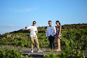 White Pearl Cavalieri - Adults Only