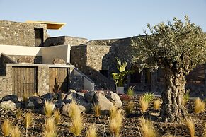 White Pearl Cavalieri - Adults Only