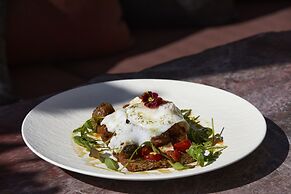 White Pearl Cavalieri - Adults Only