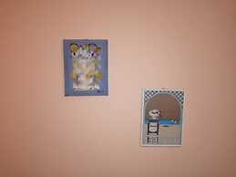 Eden Beach Saint-Louis