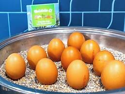 Mercure Hotel Luebeck City Center