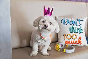 Moxy Bucharest Old Town