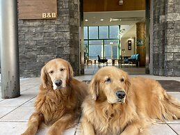 Riverside Hostel B&B – Hostel