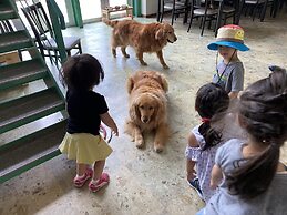 Riverside Hostel B&B – Hostel