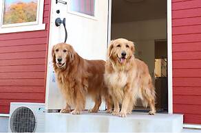 Riverside Hostel B&B – Hostel