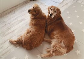 Riverside Hostel B&B – Hostel