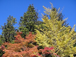 Riverside Hostel B&B – Hostel